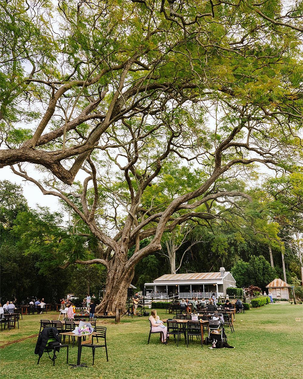 scenic rim's farm shop and cafe, a brisbane day trip destination