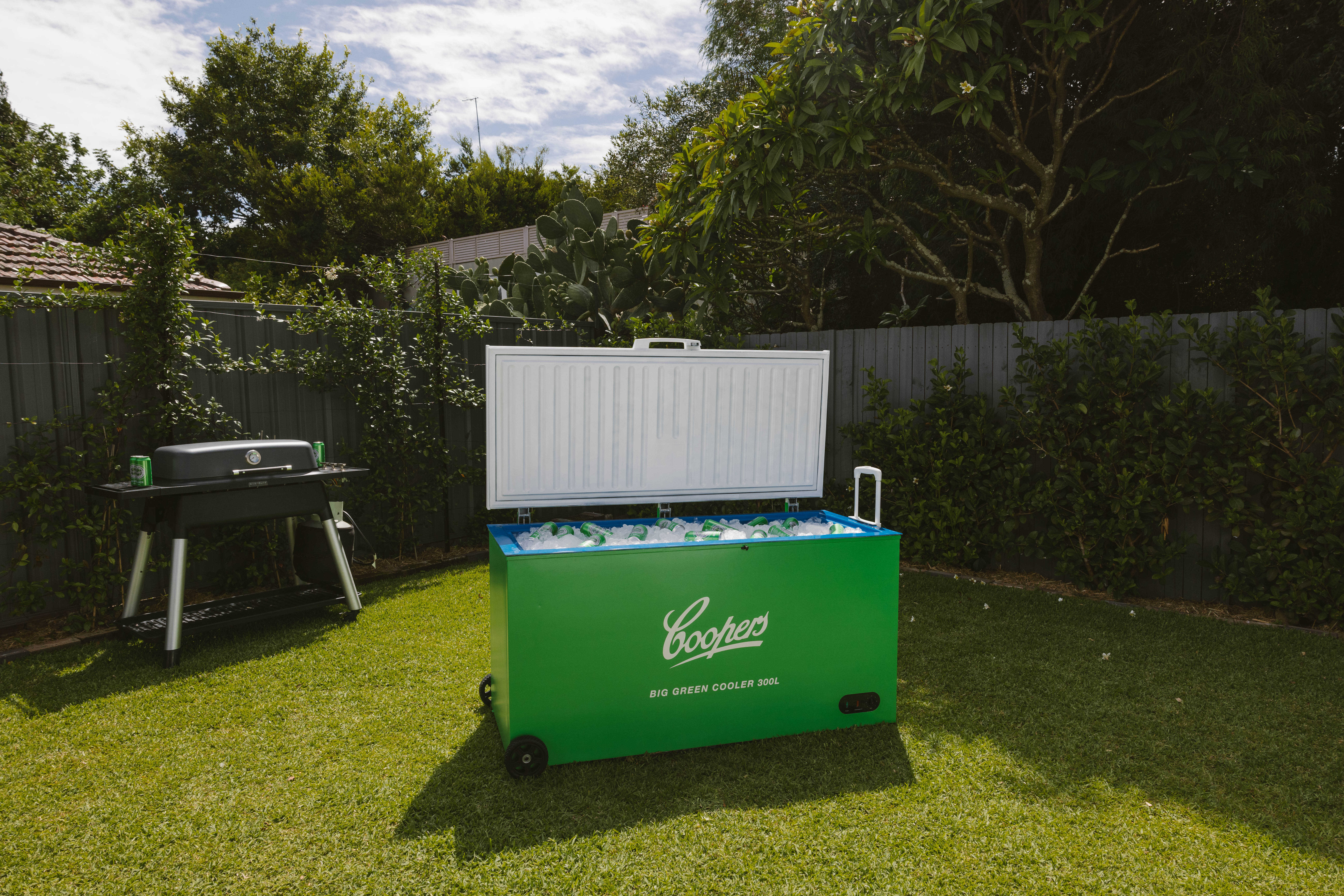 Cooler in yard