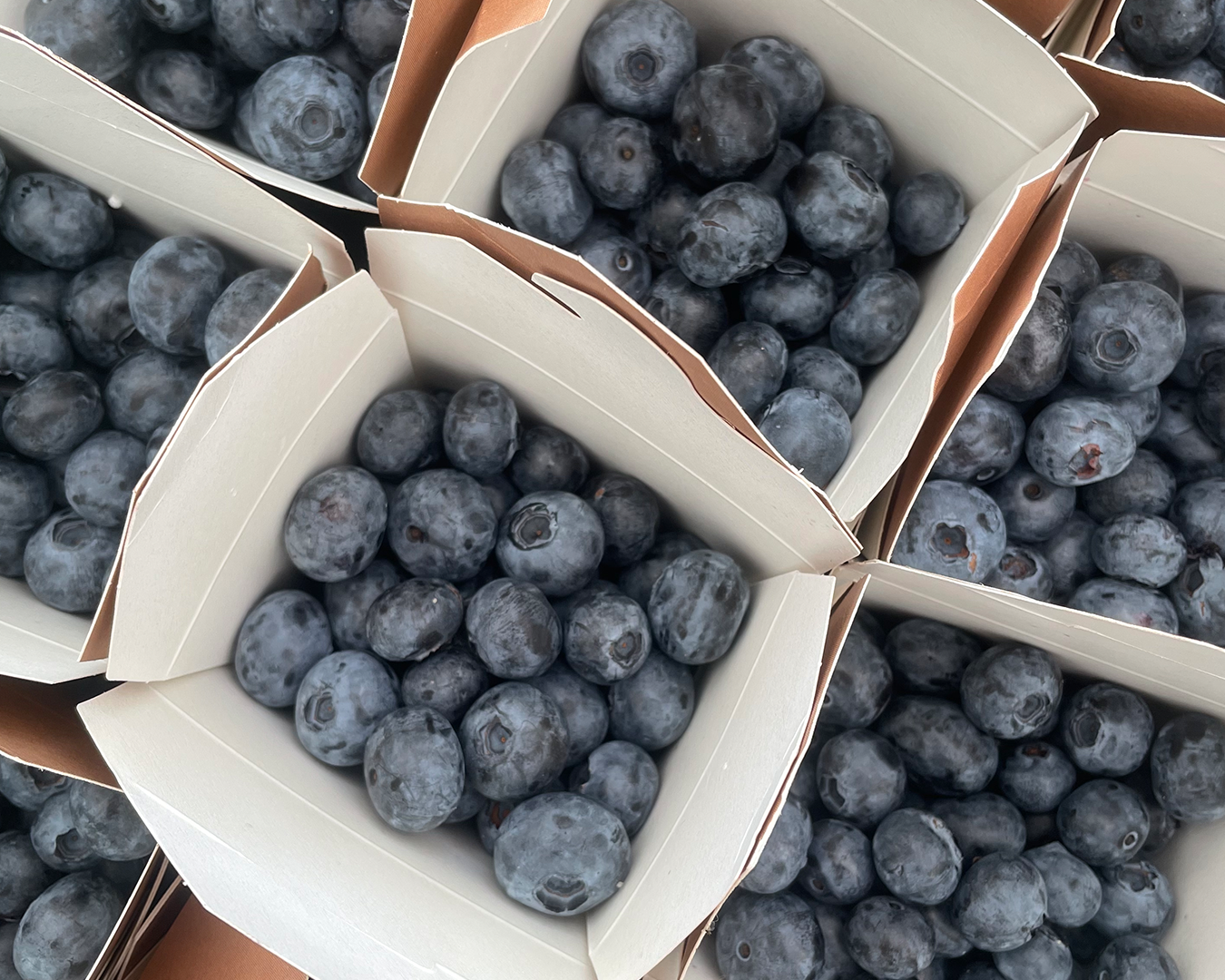 simple swaps boxes of blueberries