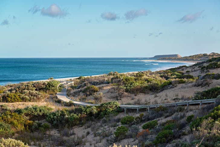 Boardwalk where bush meets beach