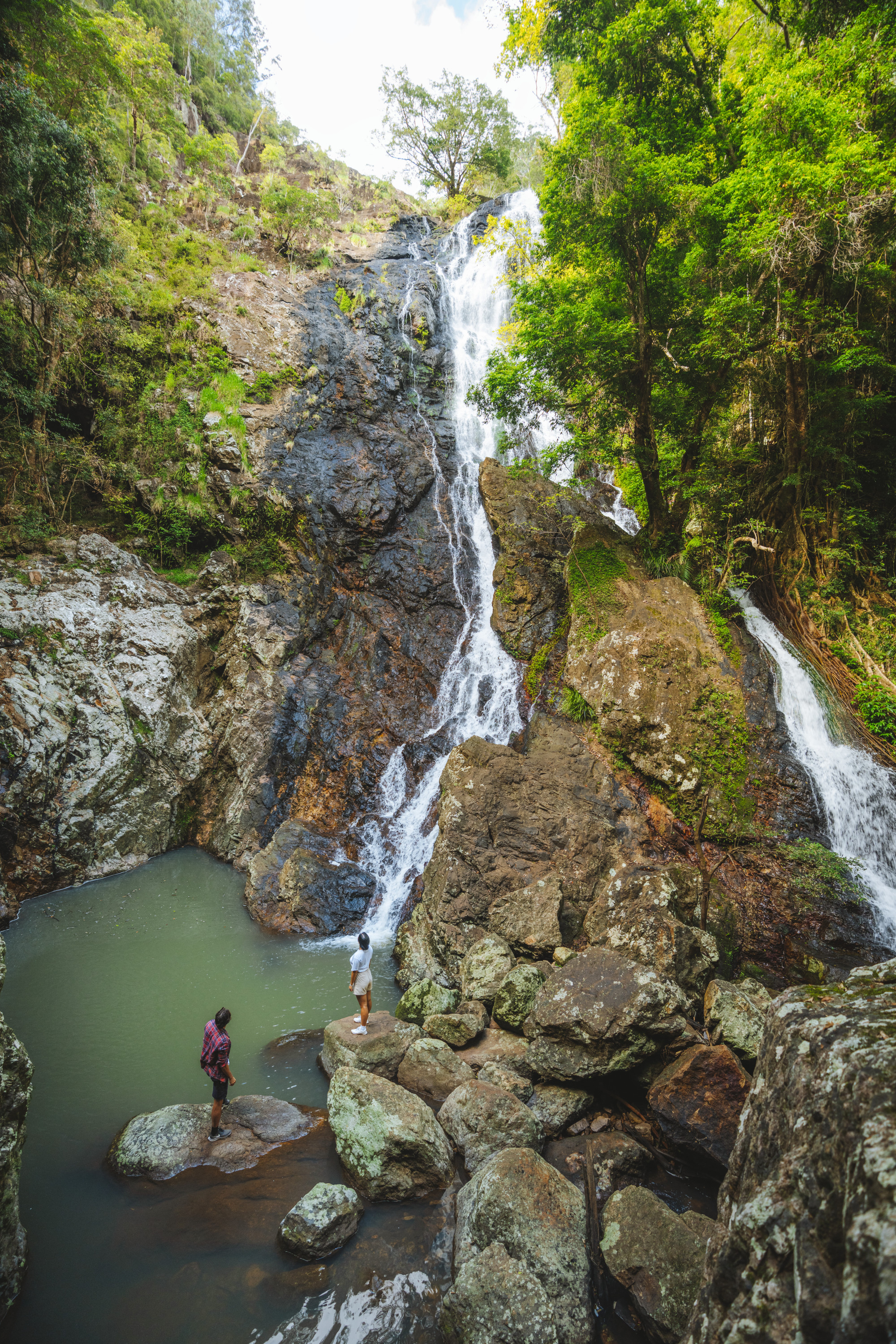 kondalilla falls