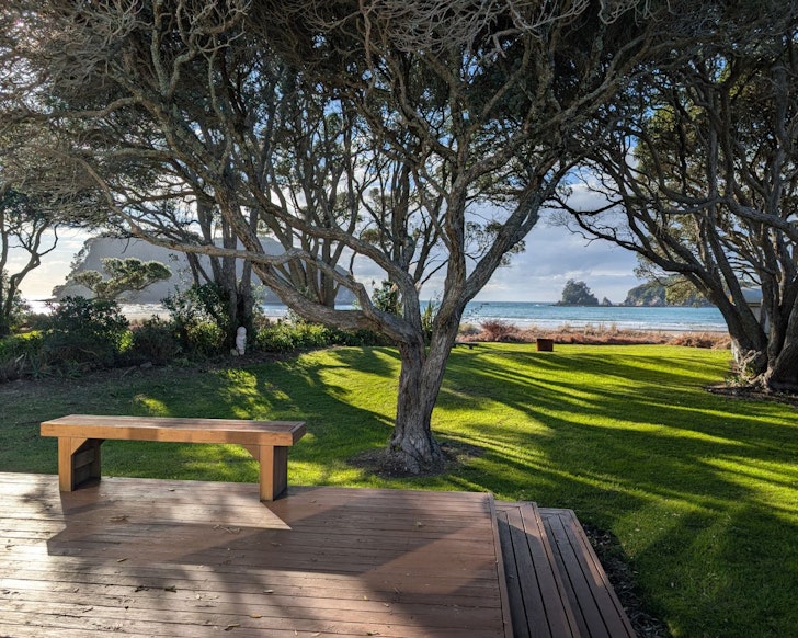 The view from the garden at 1950s Beachfront Bach best NZ beach house Airbnbs