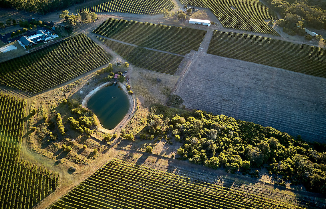 Aerial view of Wills Domain vineyards