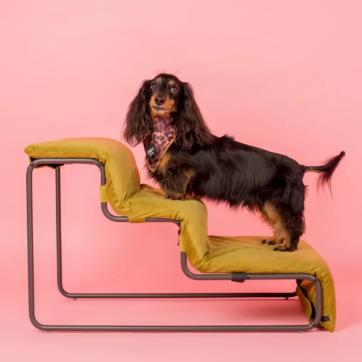 Pablo and Co Pet Stairs For Cats and Dogs in Pistachio