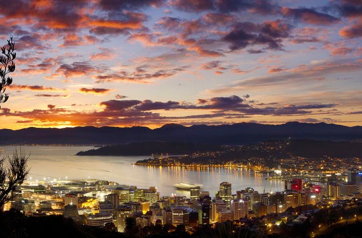 Wellington At Dawn. Your Guide To 24 Hours In Wellington