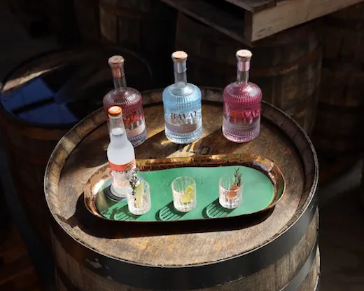 Three bottles of gin are lined up for a spirit tasting.