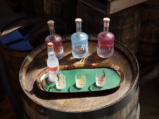 Three bottles of gin are lined up for a spirit tasting.