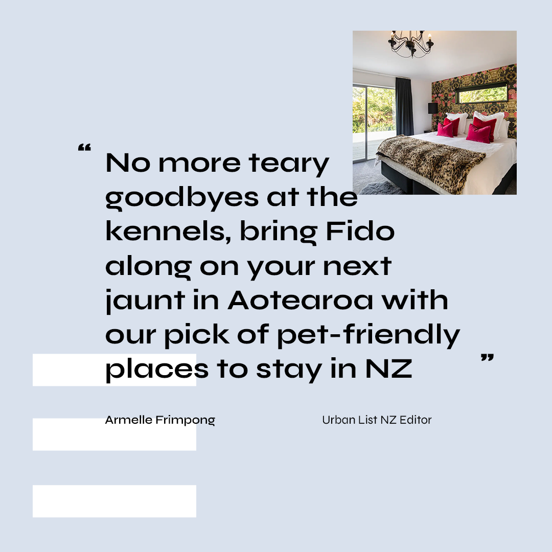 A text box reads 'no more teary goodbyes at the kennels, bring Fido along on your next jaunt in Aotearoa with our pick of pet-friendly places to stay in NZ.