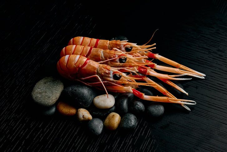 Warabi prawns