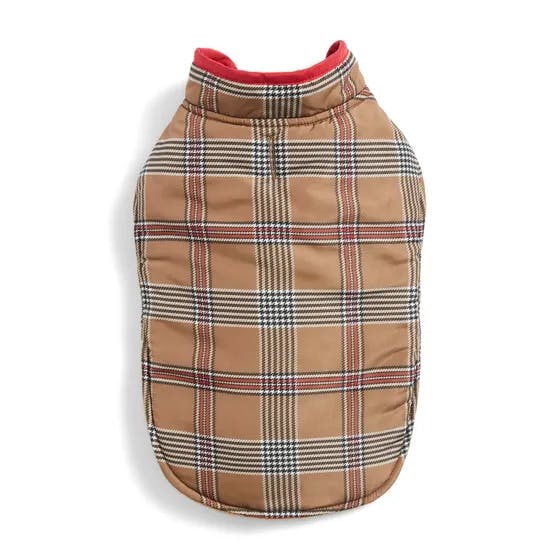 Pet jacket