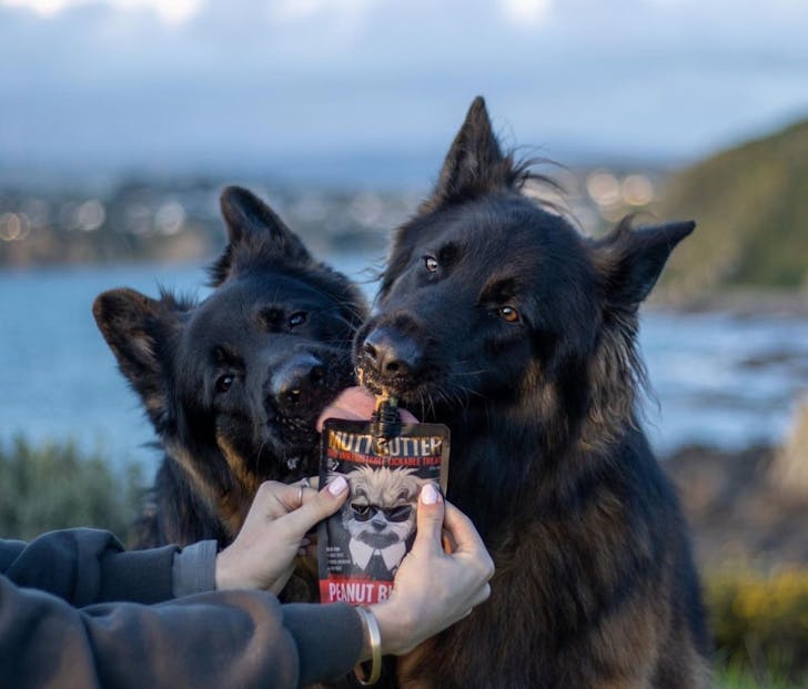 the-best-dog-treats-in-new-zealand-urban-list-new-zealand