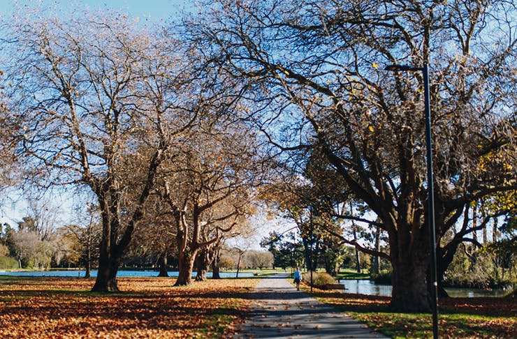 45 Things That Are So Christchurch It Hurts