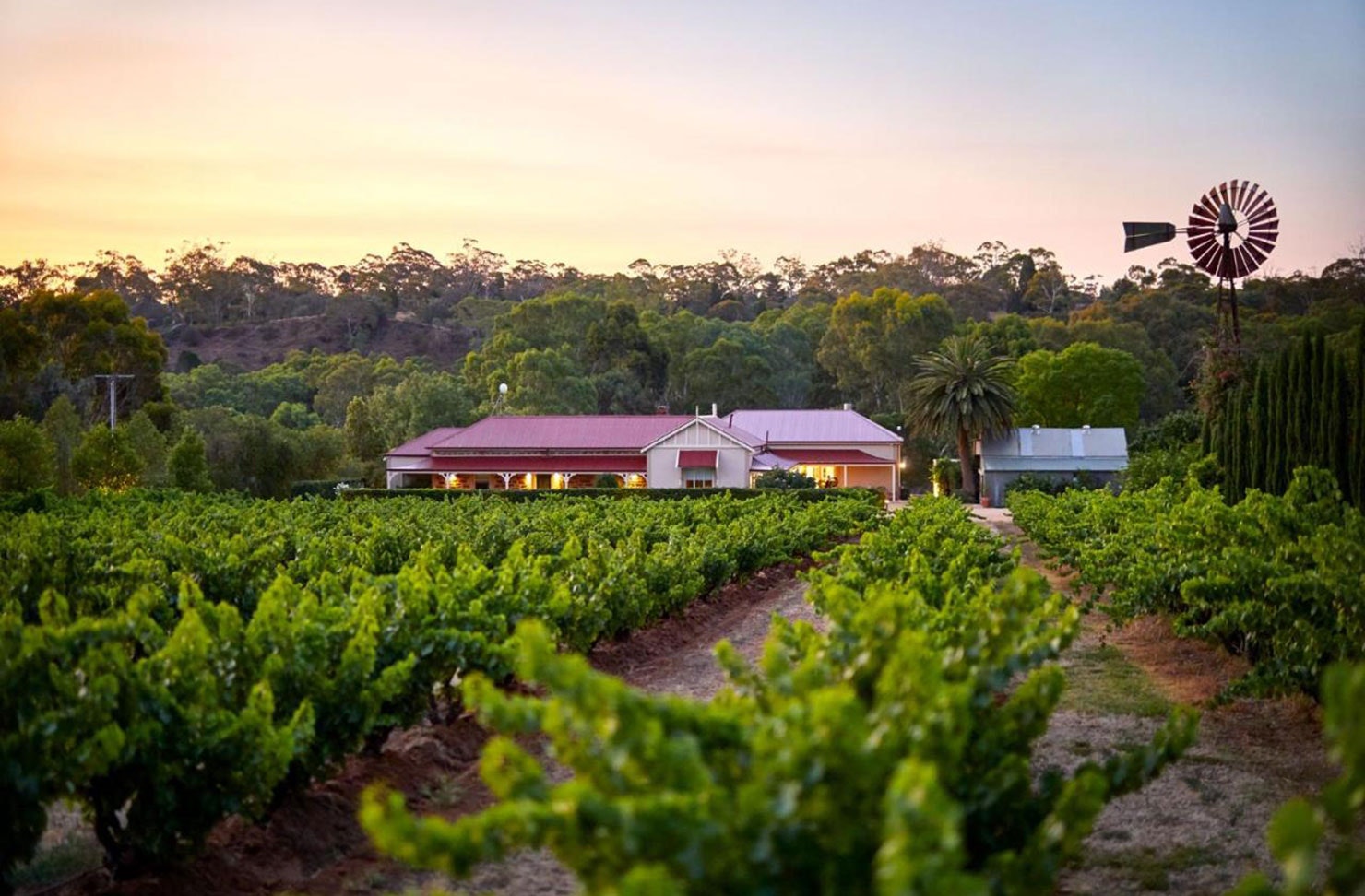Las Mas: Barossa Valley Accomodation