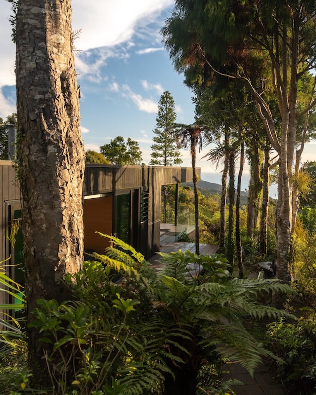 A contemporary Airbnb nestled in New Zealand native forest