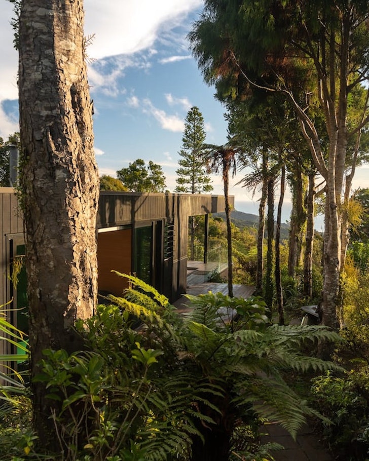 A view of the house through the trees at Piha Retreat one of the best NZ Airbnbs