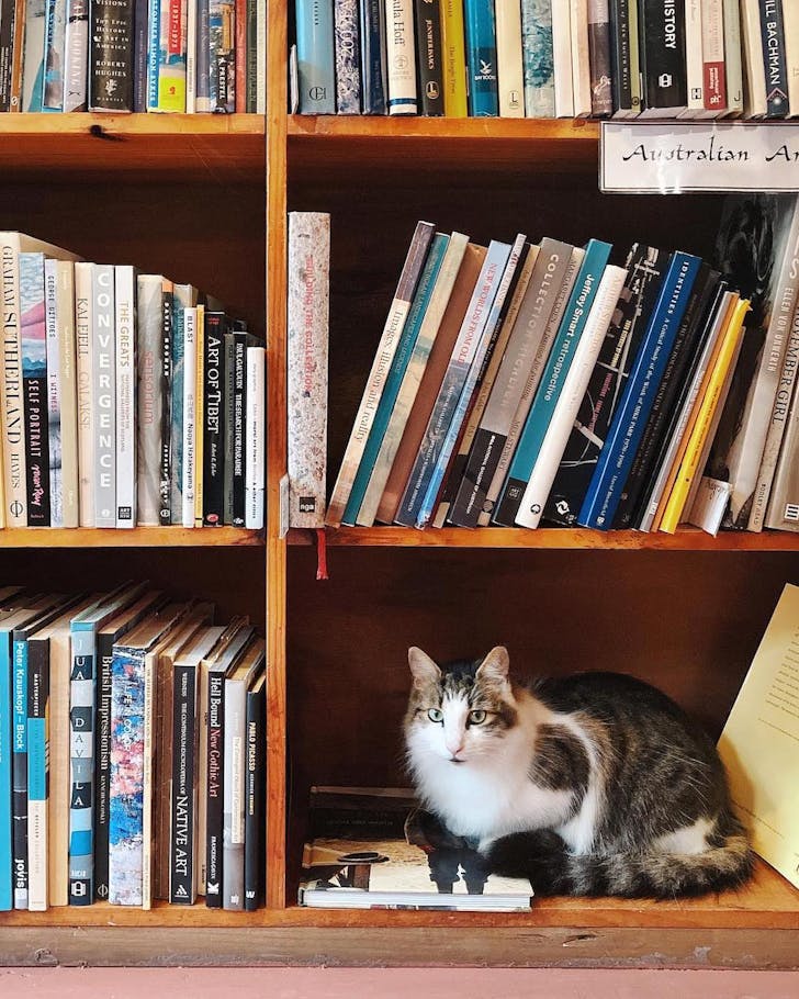 travel bookshop sydney