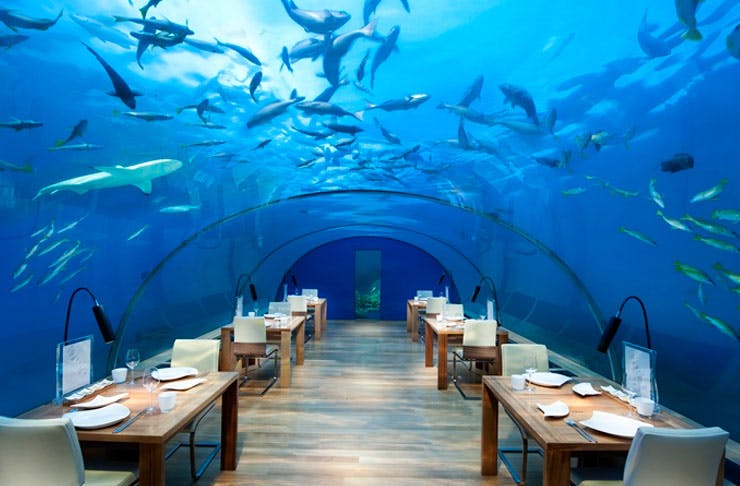 8 Insane Places To Eat At Around The World