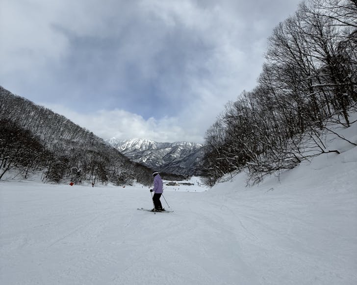 Person skiing hill