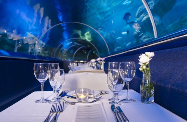 A table in the underwater tunnel at AQWA Dine Beneath The Sea