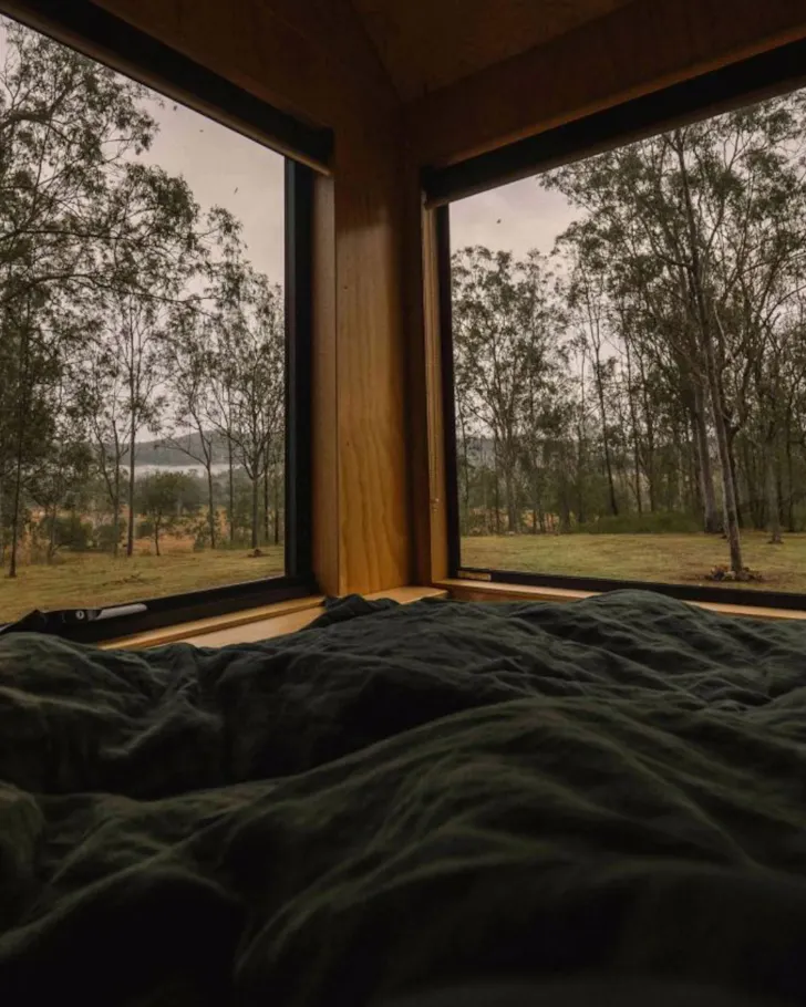 Corner view of bedroom with bush