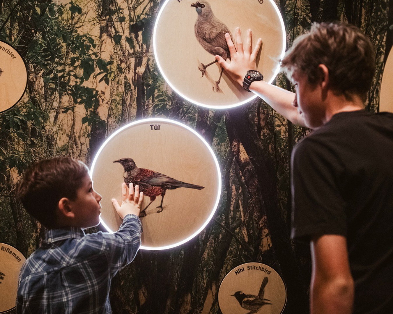 Two boys press buttons with pictures of native birds on them, to hear their respective birdsongs.