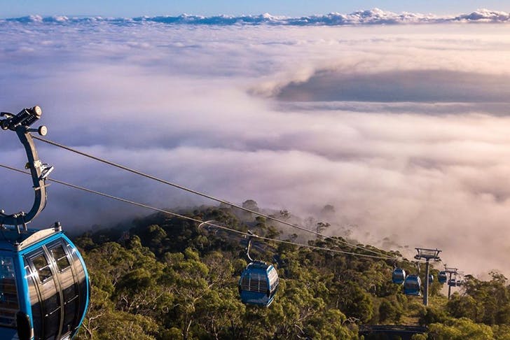 A shot from above looking down on the ski lifts above the clouds rising above the bush