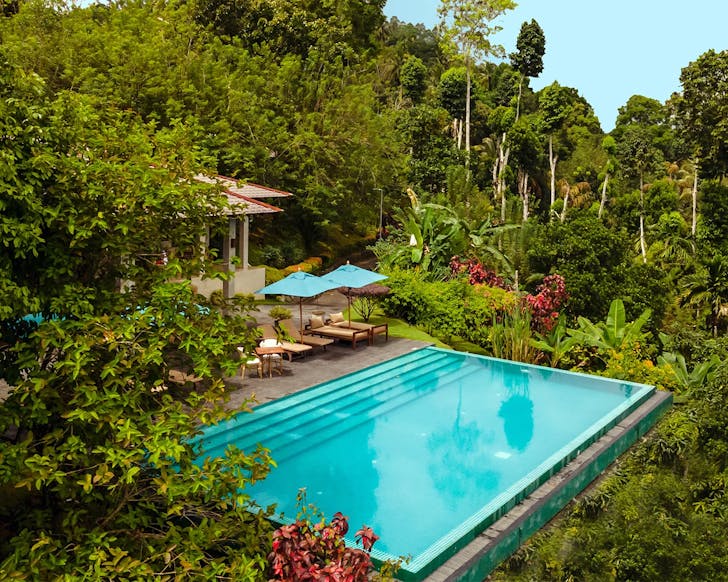 Why you should visit Sri Lanka for your next holiday