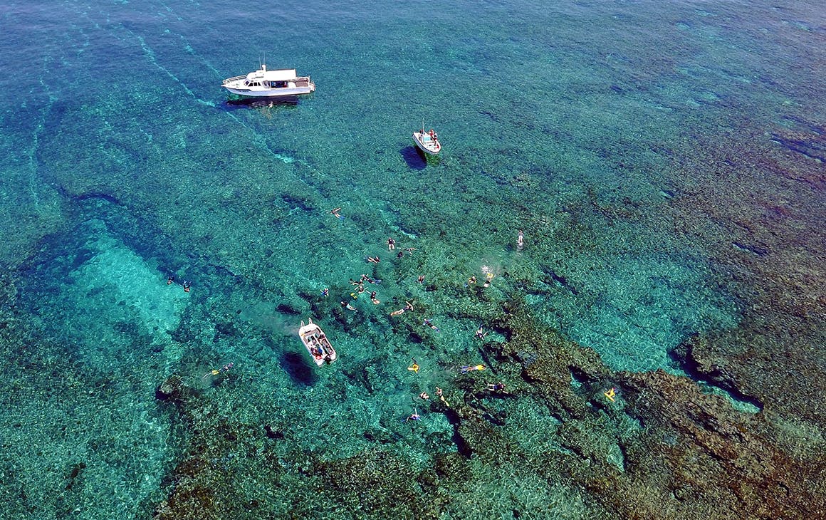 Drone image of the Eco Abrolhos as passengers snorkel nearby