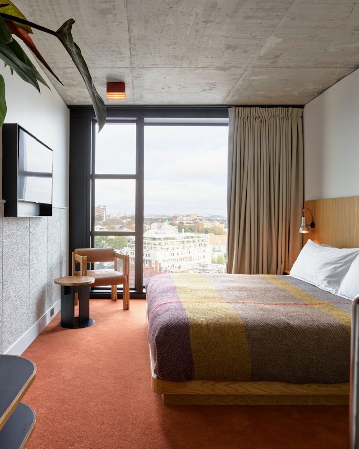 One of the rooms at the pet-friendly Ace Hotel Sydney