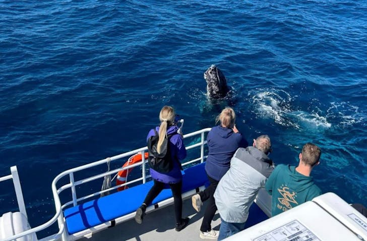 Agusta Whale Watching