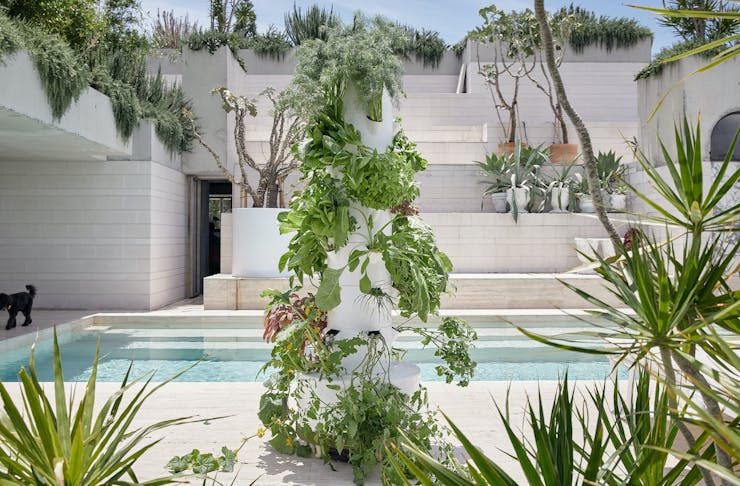 An airgarden vertical garden in a courtyard with a pool and potted plants