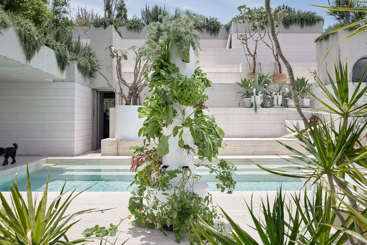 An airgarden vertical garden in a courtyard with a pool and potted plants