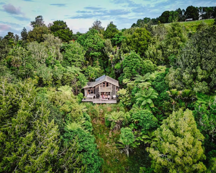 An aerial view of Akatea Hill among the trees one of the best NZ Airbnbs