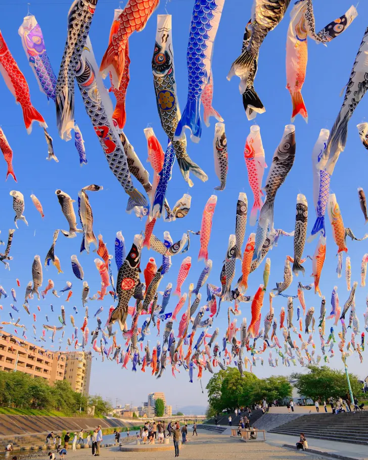 Colourful carp streamers flying overhead at a festival in Akutagawa Sakurazutsumi Park.