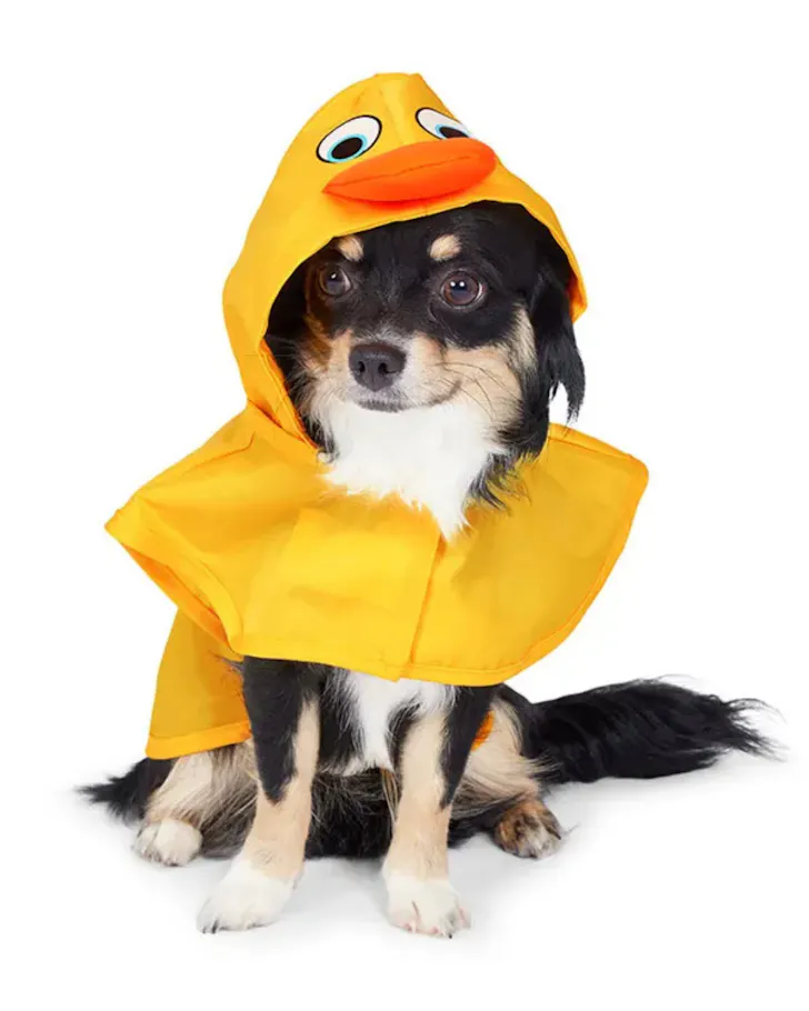 All Day Duck Hood Pet Raincoat Yellow
