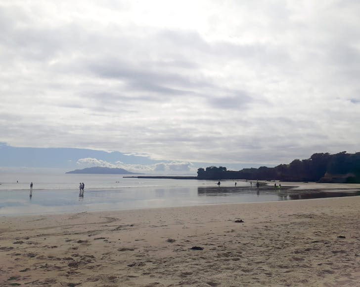 Anchor Bay Beach 