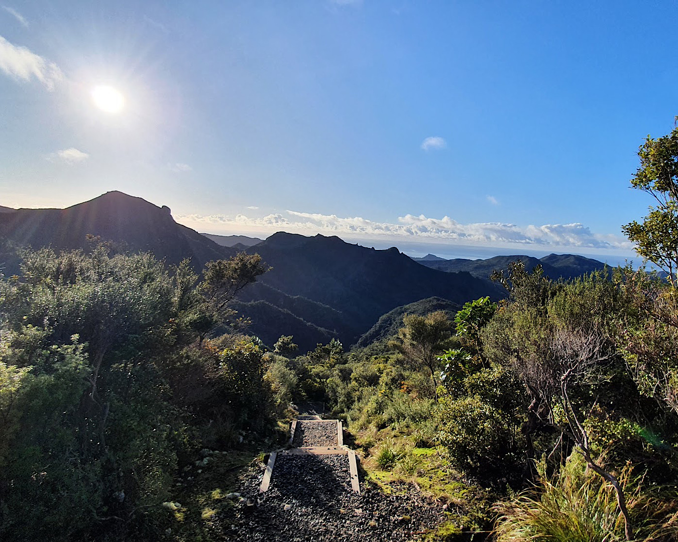 The beginning of some stairs and an awe-inspiring view of native bush on Aotea Track, one of the best walks in Auckland. 