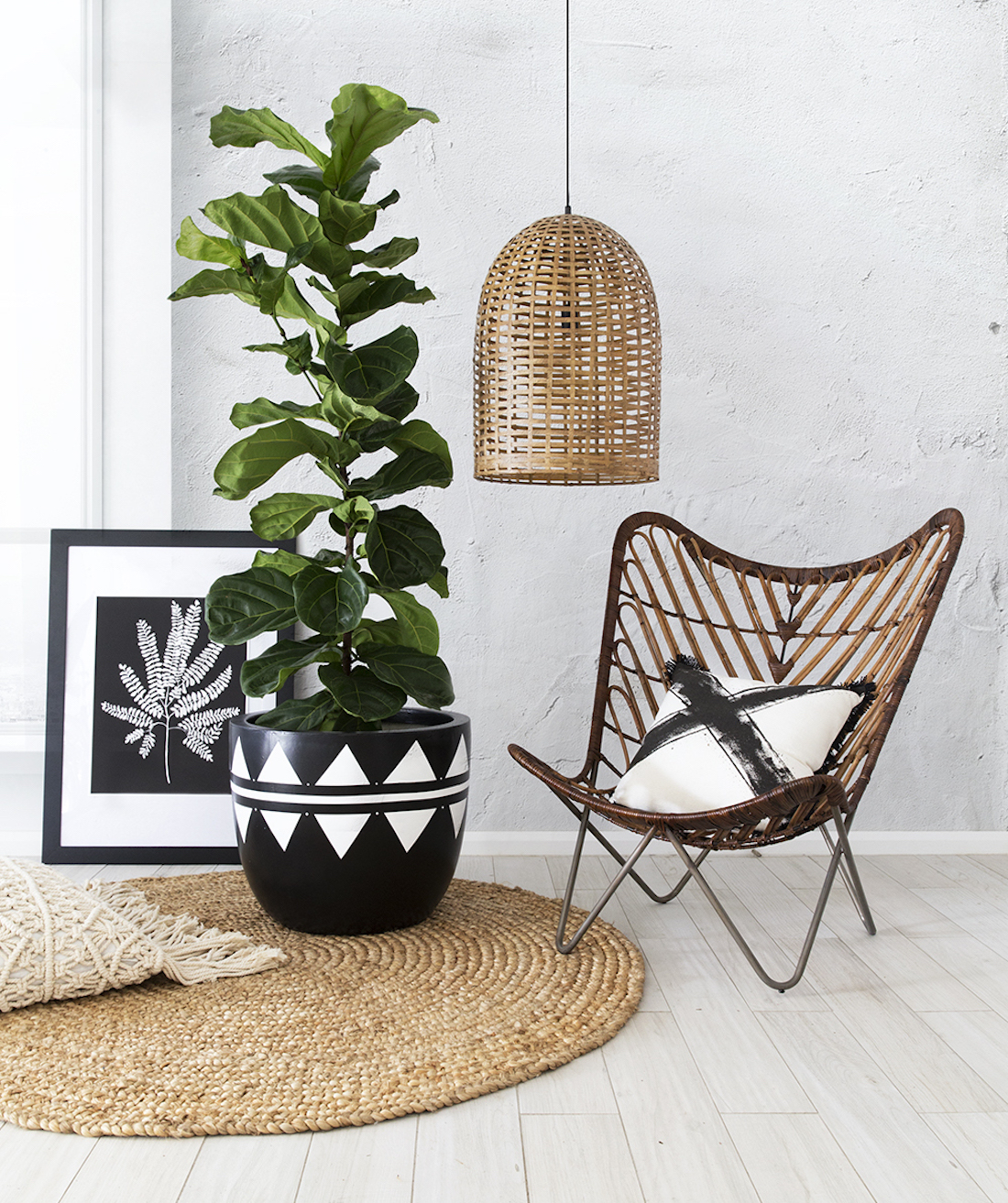 A large pot plant sits in a room surrounded by beachy decor. 