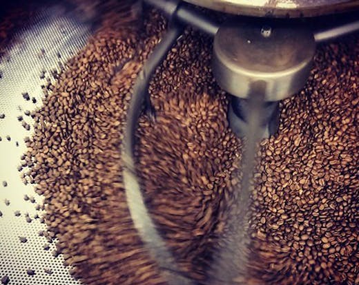 ARK Coffee Company Takapuna