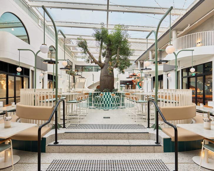 A large atrium room with an open glass ceiling and a tree in the centre surrounded by tables and chairs