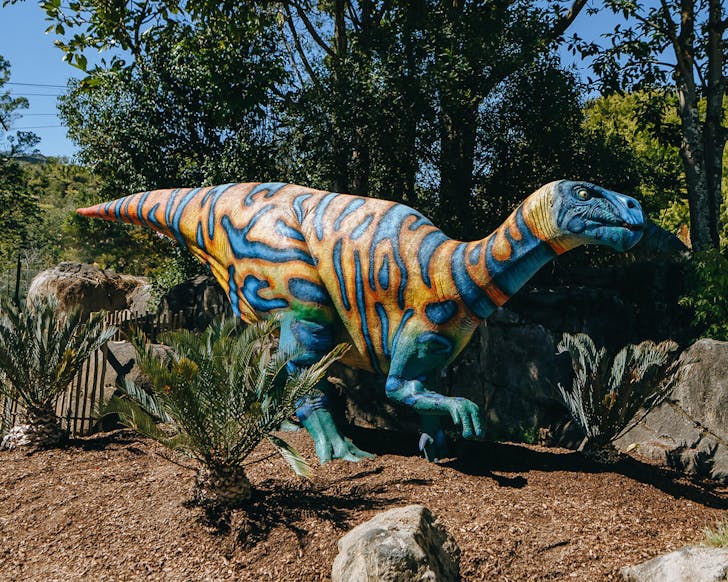 The Dinosaur Discovery Track at Auckland Zoo