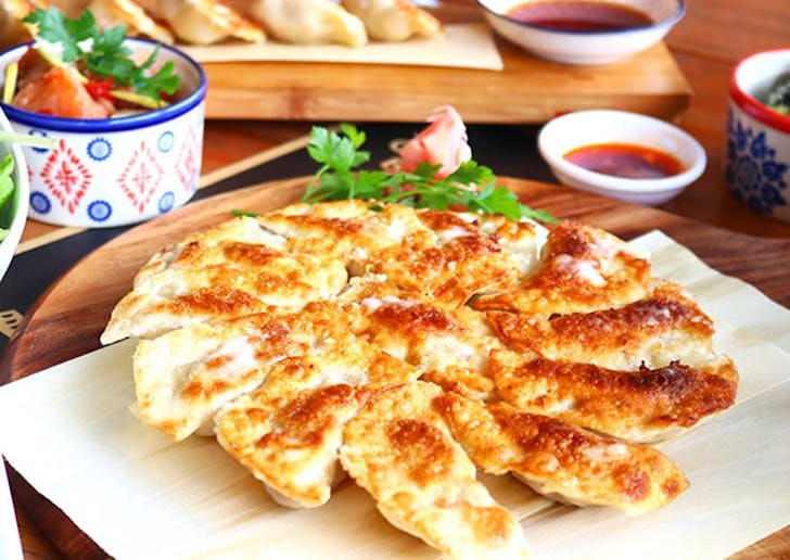 Auckland's Best Dumplings