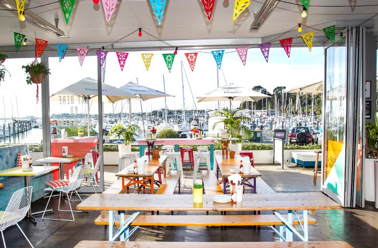 Auckland’s Getting A Margarita Paint Party! 