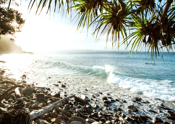 australia_day_sunshine_coast 