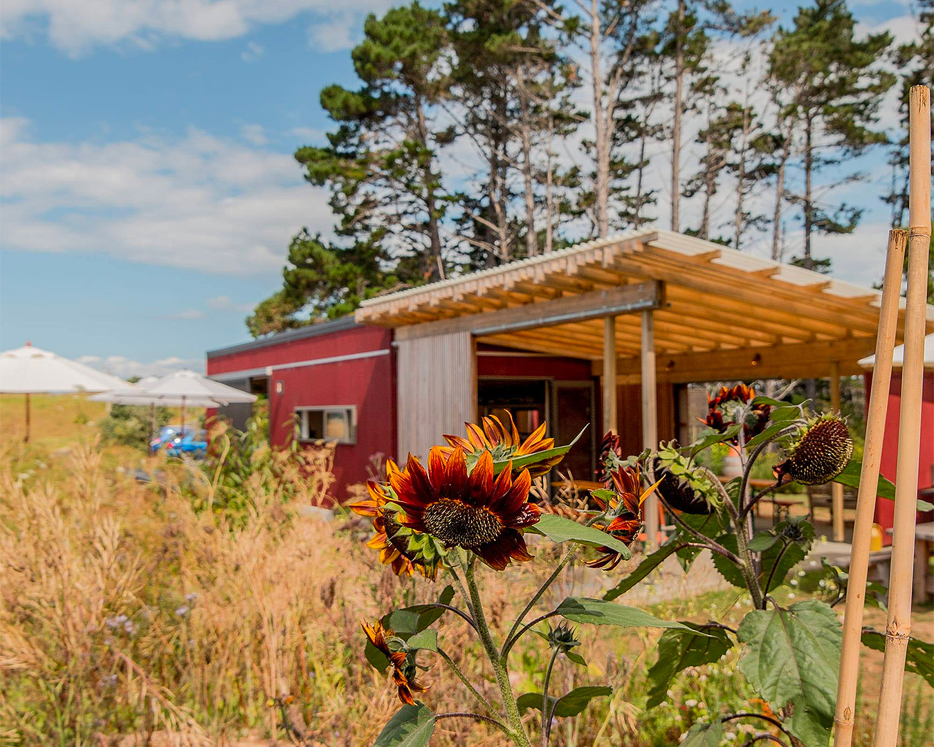 A view of Awaroa Organic Winery.