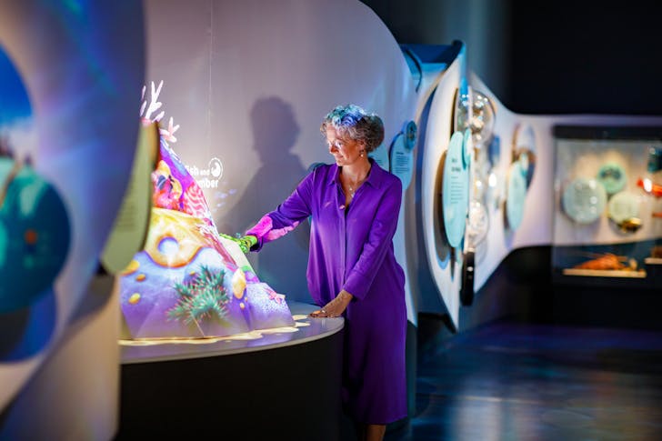 Interacting with exhibit