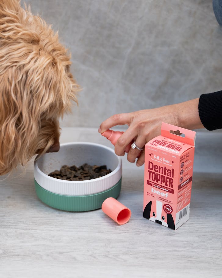 Bell and Bone pet dental care