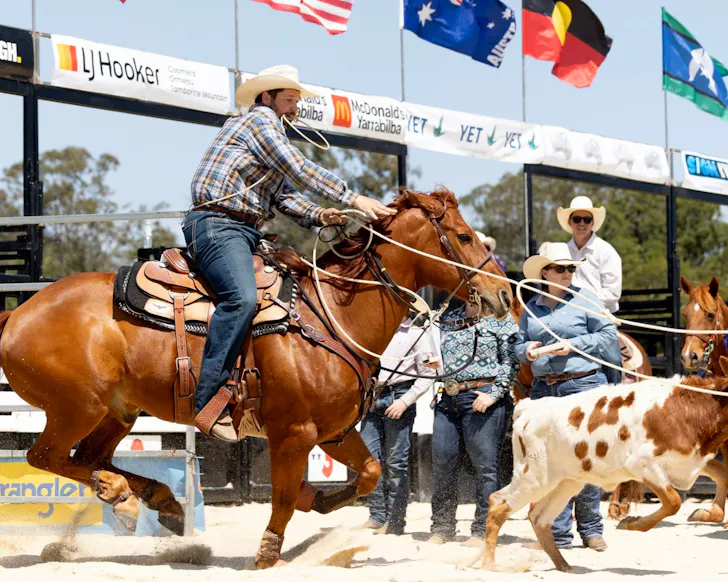Cowboy on horse