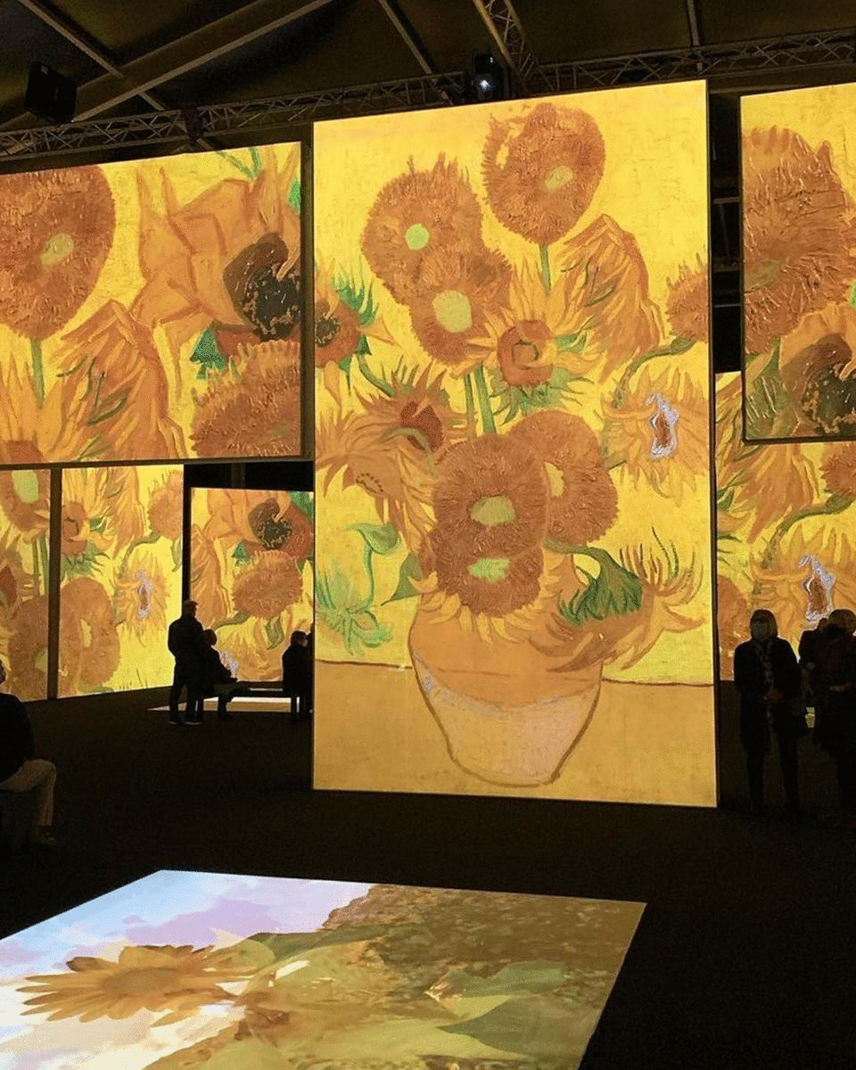 A gif featuring Van Gogh Alice and QAGOMA