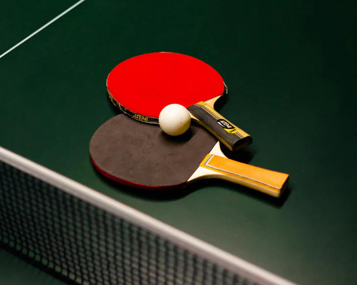 Two paddles